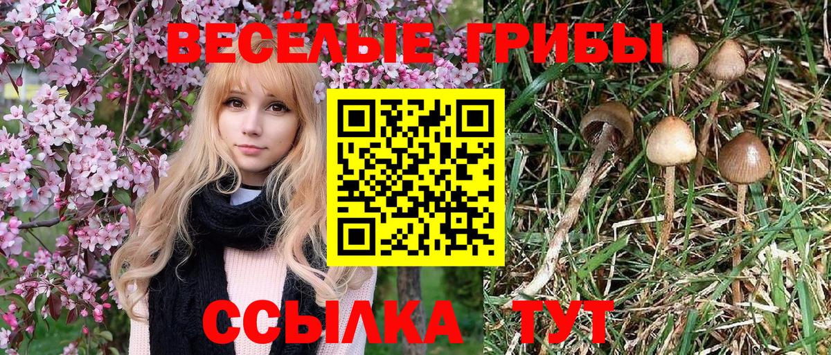 Галлюциногенные грибы прущие грибы Богородицк