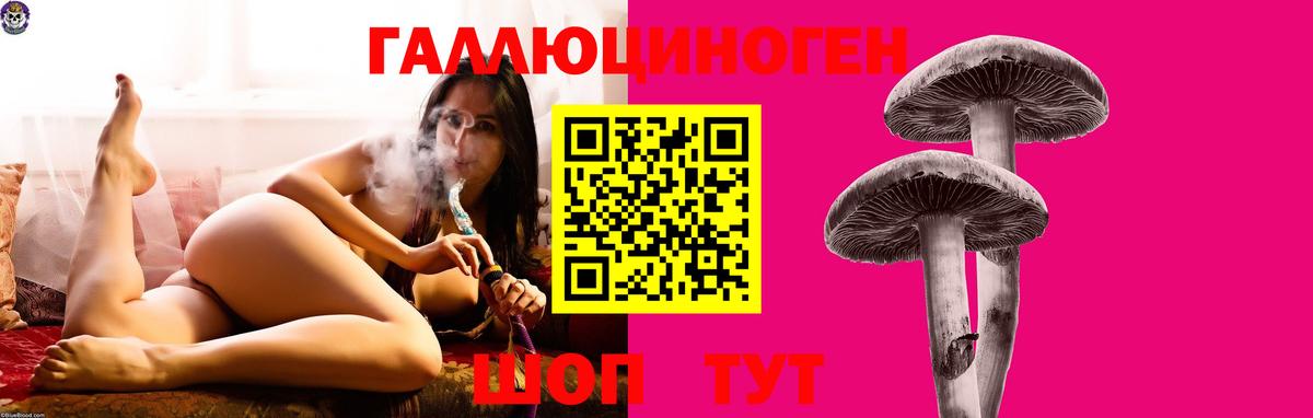 Богородицк  Галлюциногенные грибы MAGIC MUSHROOMS  Вход с VPN  Псилоцибиновые грибы прущие грибы 